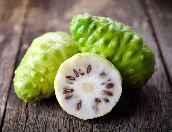 Noni Juice Manufacturers: Organic and Natural Noni Products Supplier