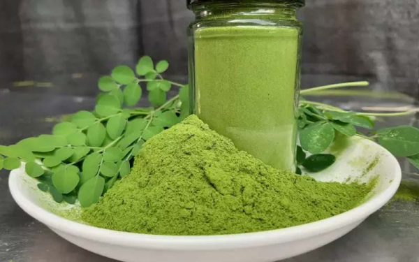 Vietnam Moringa Leaf Powder Supplier – OEM & Private Label Services Available