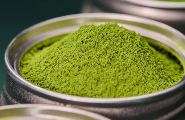 Organic Matcha Tea Powder Supplier – Bulk Wholesale Export