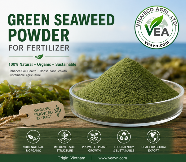 Buy Green Seaweed Powder for Fertilizer in Bulk – Export Quality Guaranteed
