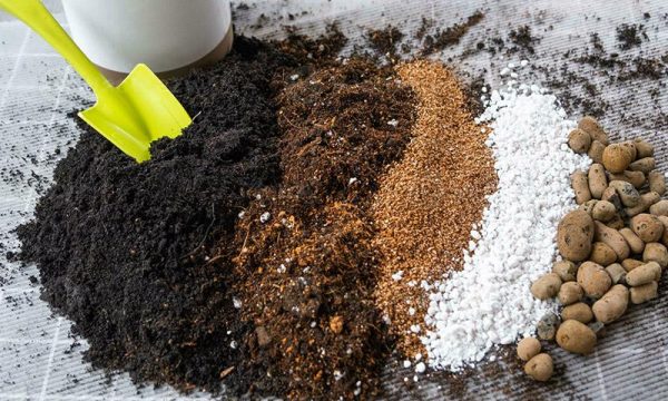 Premium Coco Peat Blocks from Vietnam Manufacturer
