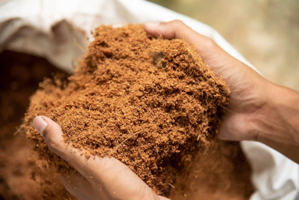 Coco Peat Manufacturer in Vietnam | OEM & Private Label Available