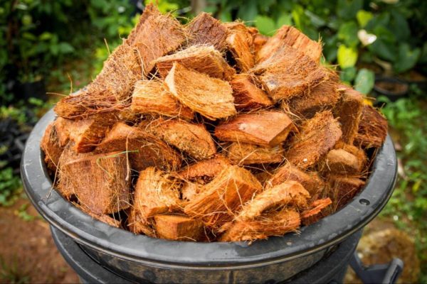 Trusted Coco Peat Manufacturer for Global Agricultural Markets