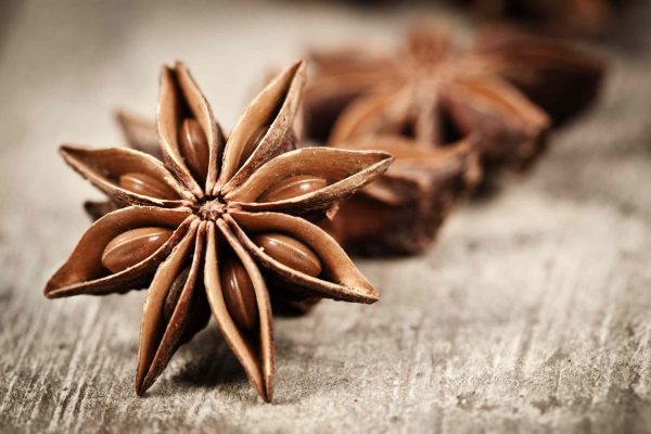 Top Star Anise Exporter in Vietnam for Wholesale Buyers