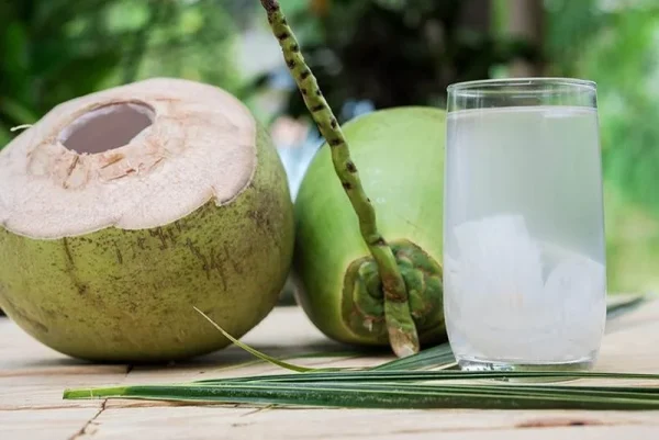 Vietnam Coconut Jelly Exporter | Trusted Wholesale Supplier
