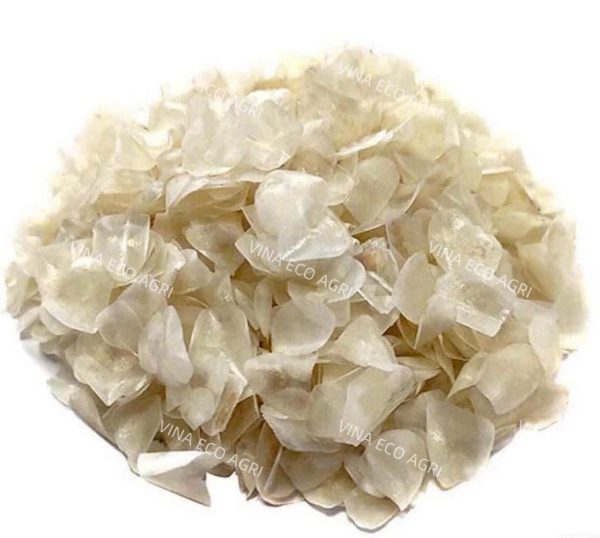 Tilapia Fish Scales Supplier in Vietnam | Premium Quality for Global Buyers