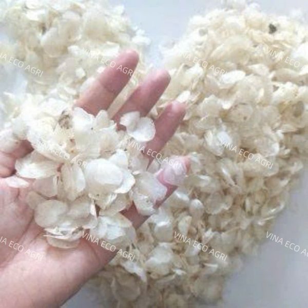 Trusted Tilapia Fish Scales Supplier for Marine Collagen Production