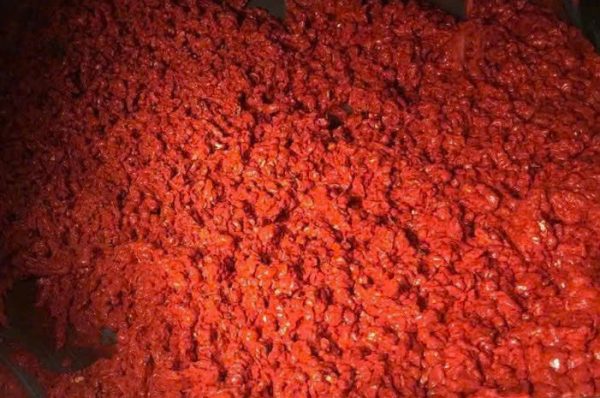 Gac Fruit Powder Supplier from Vietnam – Premium Quality for Global Markets
