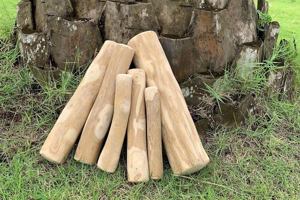 Coffee Wood Dog Chew for Aggressive Chewers: Durable & Safe