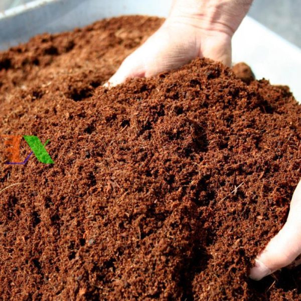 Premium Coco Peat Blocks from Vietnam Manufacturer