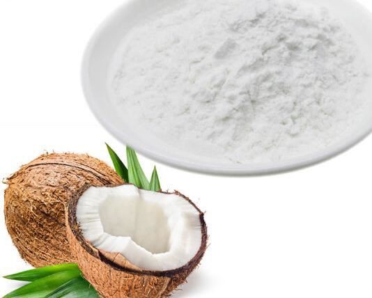 Pure Coconut Milk Powder – Made in Vietnam