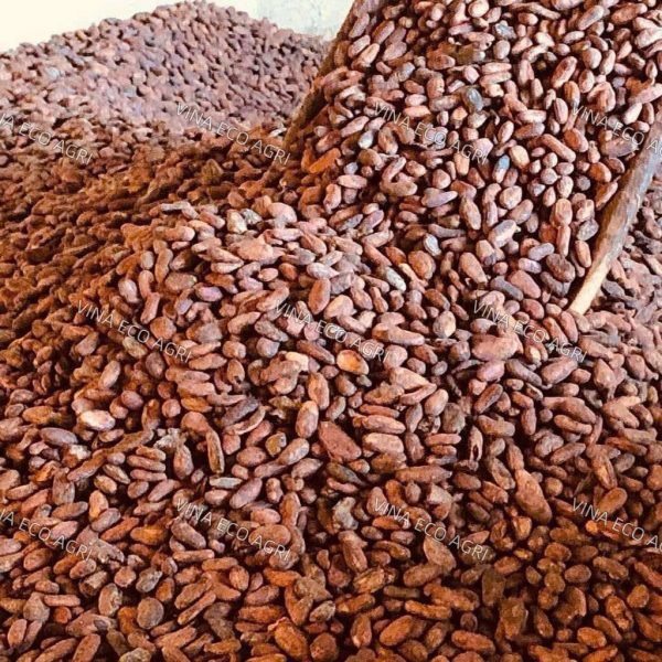 What Makes Premium Cocoa Beans Suitable for Export?