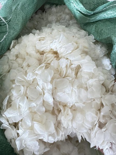 Vietnamese Tilapia Fish Scales for Global Buyers
