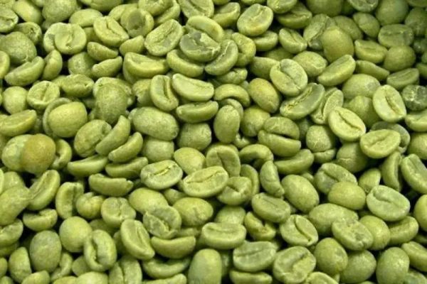 Why Is Vietnam One of the World's Leading Robusta Coffee Producers?
