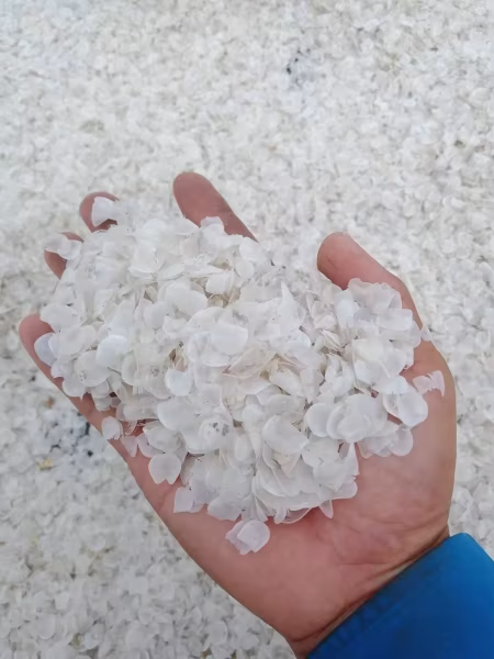 Tilapia Fish Scales – Sourcing Raw Materials from Vietnam